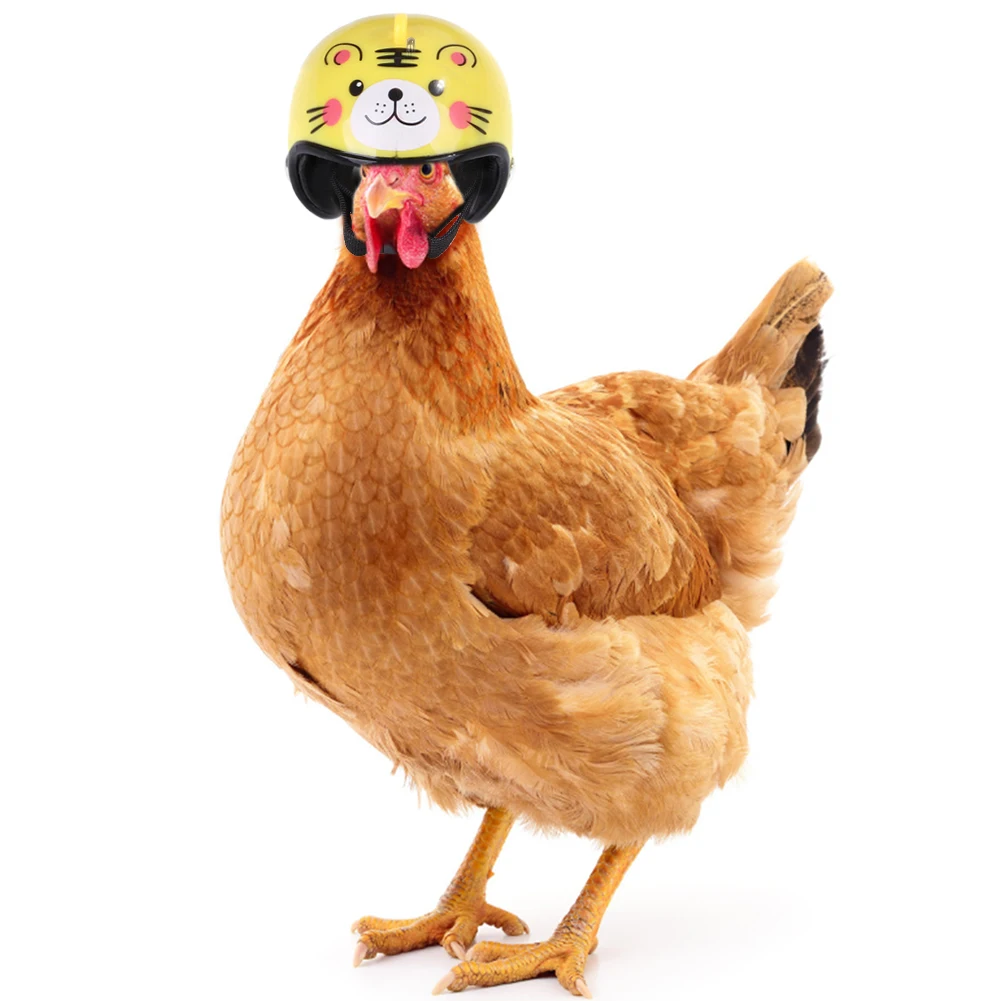 Креативный милый граффити куриный шлем маленький домашний питомец птица утка