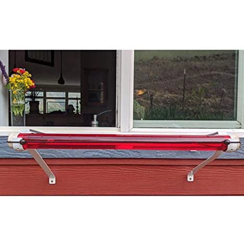 

Bird Feeder Bird Feeder with Holes Transparent Tube Red Tube Easy to Use