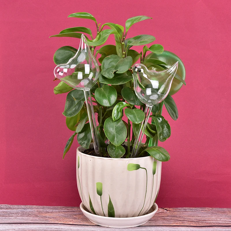 

Plant Self Watering Globe Plants Water Bulbs Bird Shape Clear Glass Watering Device 5*12*25cm Dropshipping