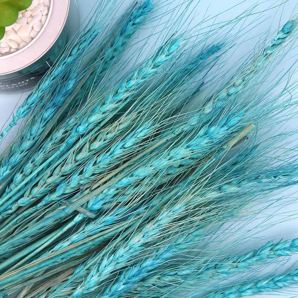 25 шт. разноцветные Натуральные сушеные цветы букет украшение пшеницы новинка