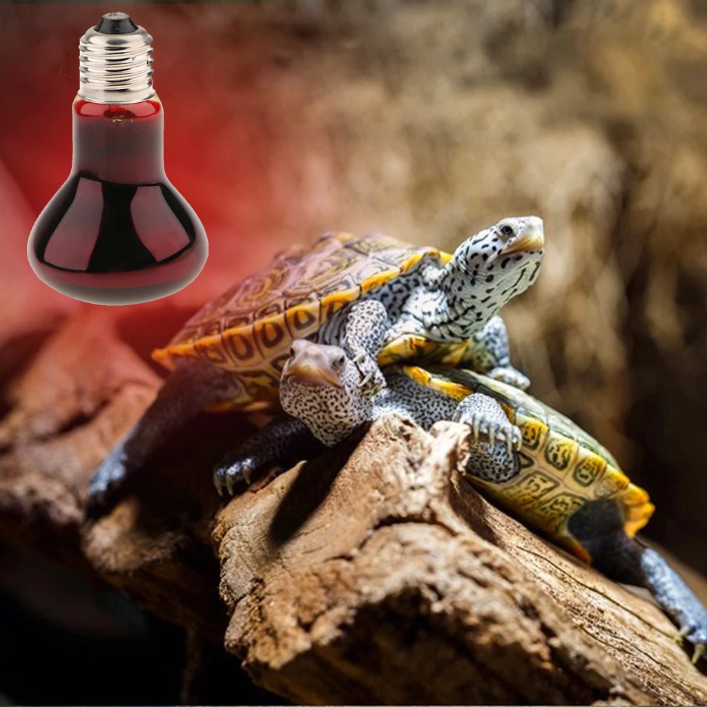 

E27 нагревательная лампа для рептилий, инфракрасная Ночная лампа для террариума, ночсветильник