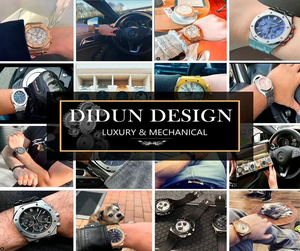 Наручные часы DIDUN мужские роскошные фирма высокого класса автоматические