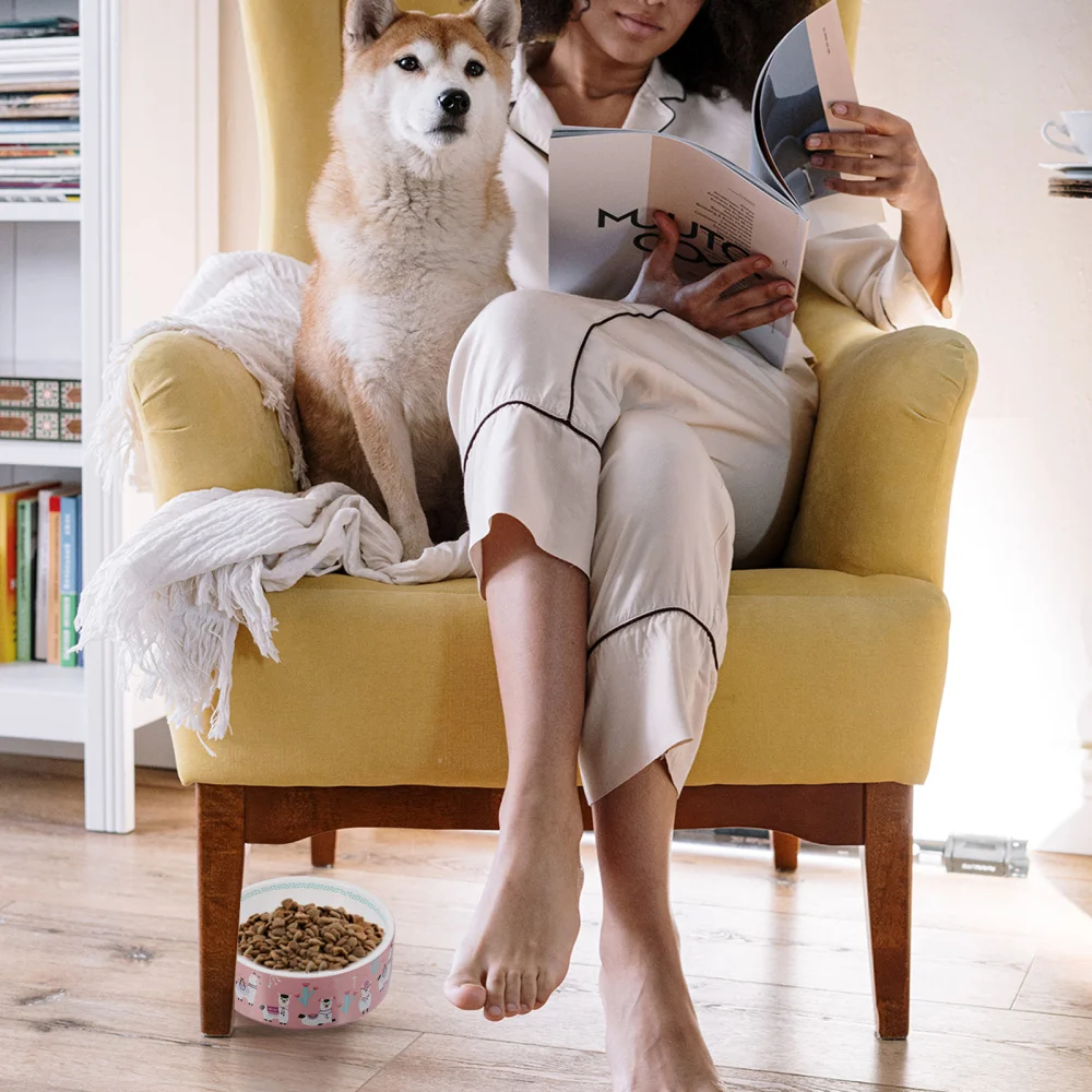 

Ceramics Cartoon Drinking Bowl Pet Feeder Ceramic Pet Food Bowl for Cats Dogs