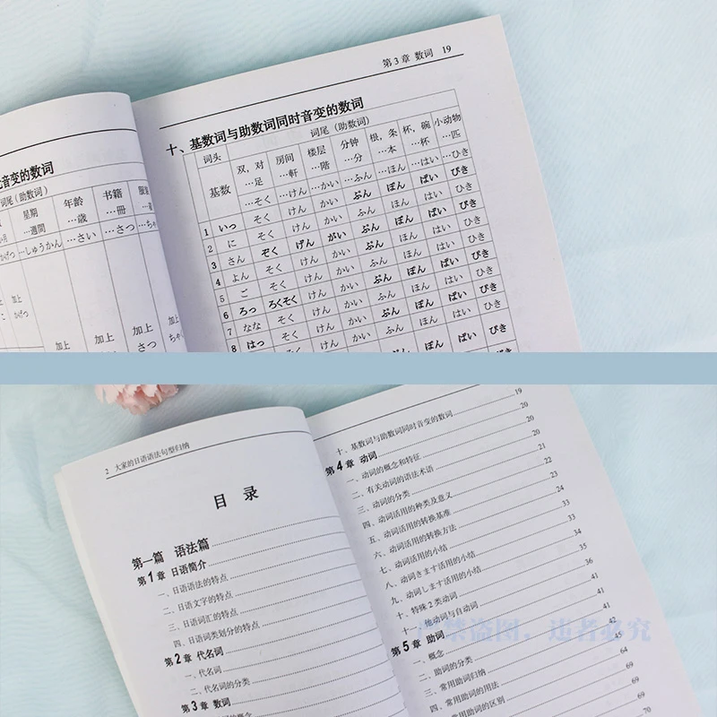 Рисунок 3 - Подлинный японский учебник