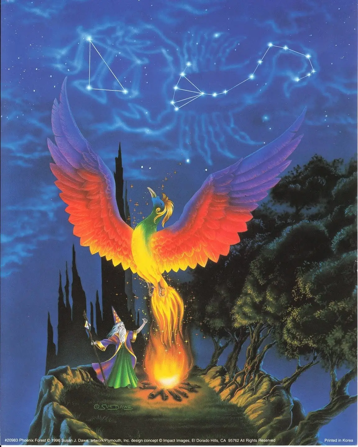 

Mythical Magical Wizard Phoenix Forest Fantasy Kids Room Wall Decor Art Print Poster