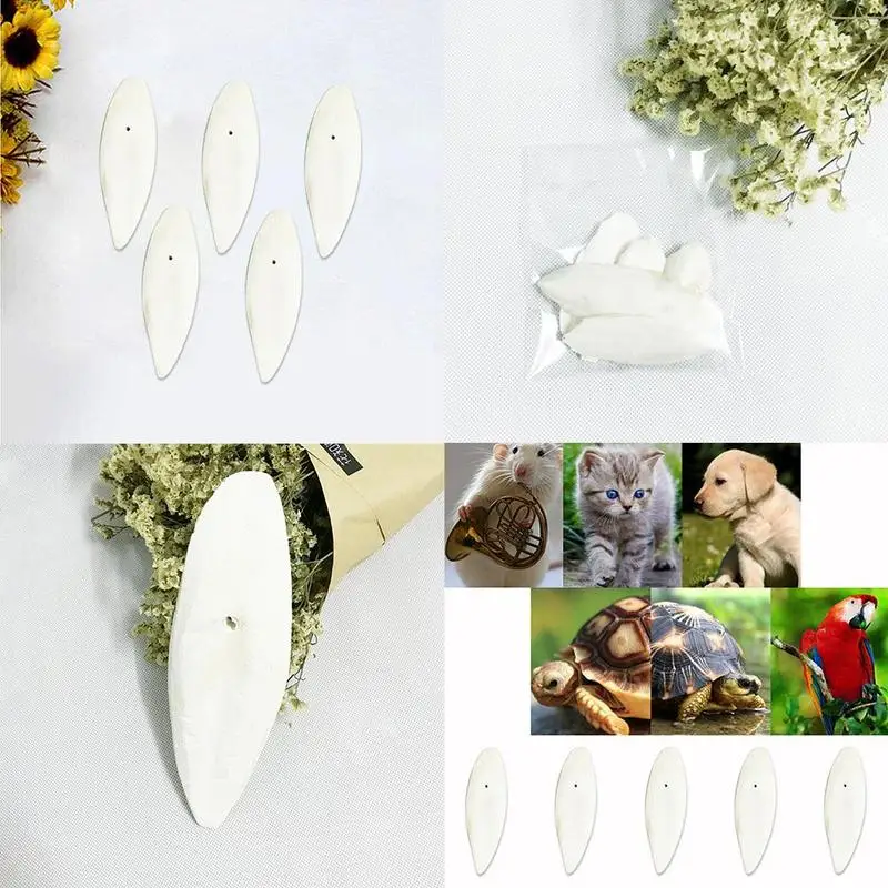 Сухая еда для птиц 2 упаковки кости морской слепки животных птицы рептилии