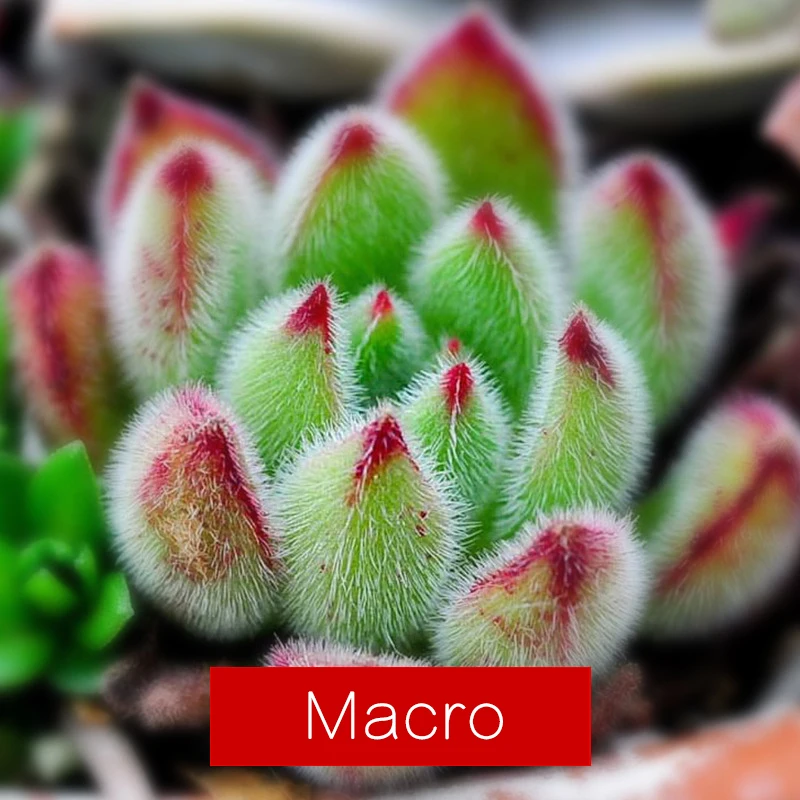 Профессиональный комплект объективов для HD камеры 0.63X широкоугольный 15X макро