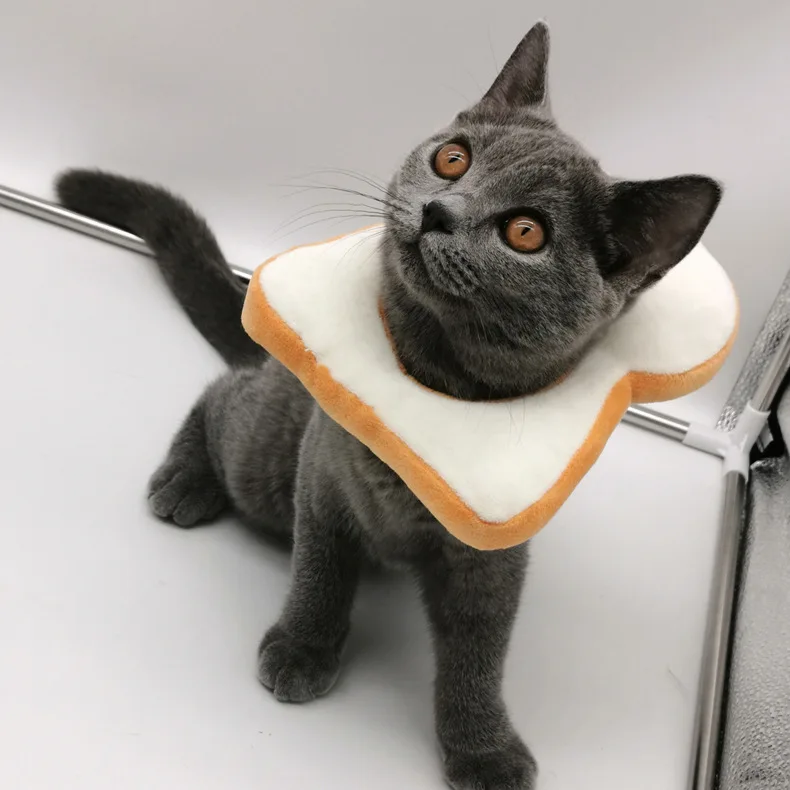 Pet kitten toasted bread head scarf white collar cute trick headdress | Дом и сад