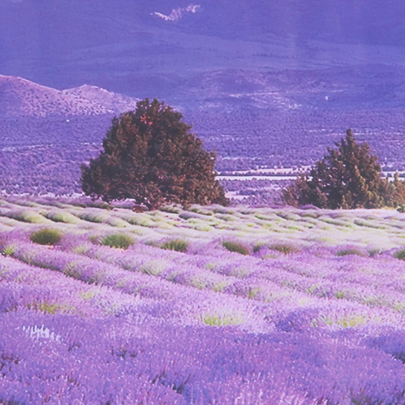 New-AY9234B Large Lavender Mountain 3D Window Scene View Removable Wall Sticker Decal | Дом и сад