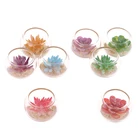 1:12 миниатюрная стеклянная банка для кукольного домика, суккулентные растения в горшке, мебель, игрушки, домашний декор, 26 мм * 18 мм