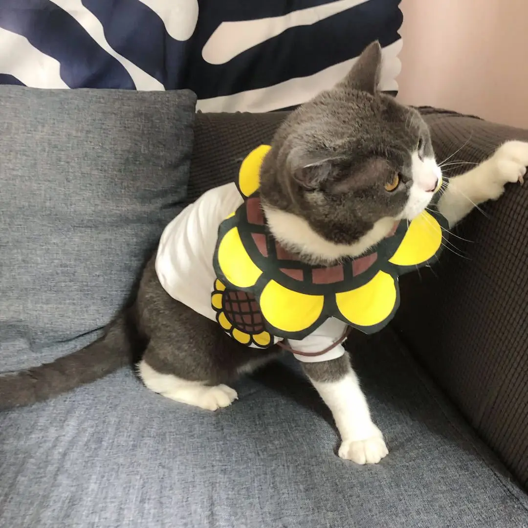 Одежда для собак маленьких жилет с подсолнухом французского бульдога чихуахуа