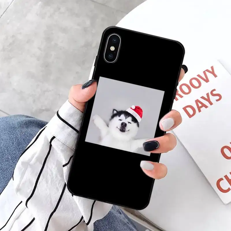 

Funny husky dog Cute animal Phone Case for iPhone 11 12 pro XS MAX 8 7 6 6S Plus X 5S SE 2020 XR mini