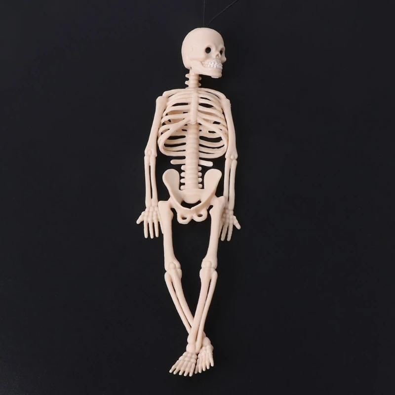 Skeleton Human Model Skull Full Body Mini Figure Toy Phone Hanger Halloween | Игрушки и хобби