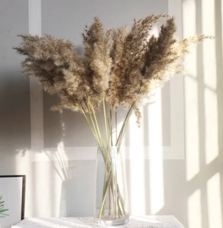 

50 Pcs Pampas Grass Dried Flowers Dry Reed Decor Wedding Flowers Bunch Natural Plants Home Decore Pampas Phragmites Fake Plants
