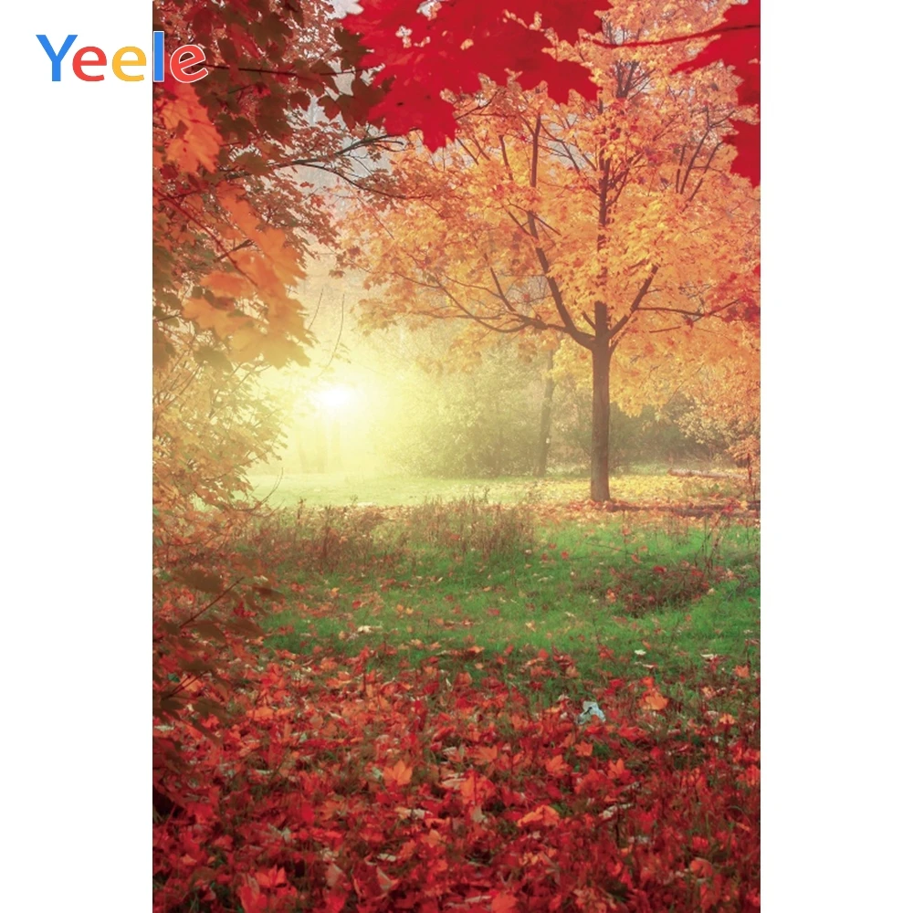 

Yeele Autumn Photocall Forest Lawn Red Maple Leaves Photography Backdrops Personalized Photographic Backgrounds For Photo Studio