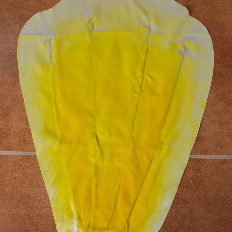 Цветы цветущие танцевальные проекты большие лепестки открытие танцевальных