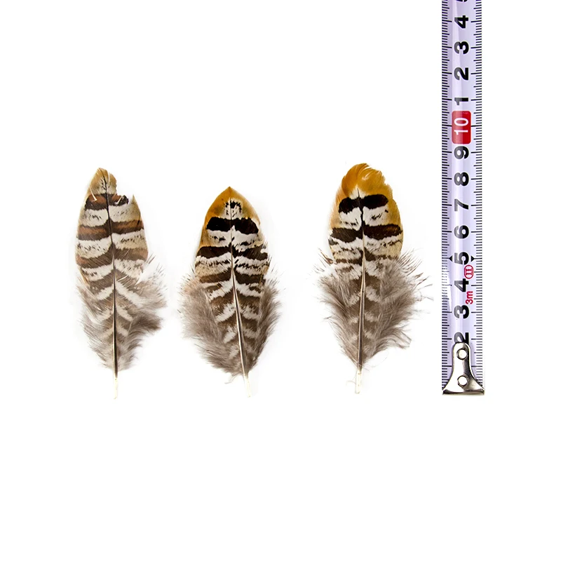 

10-100-500pcs High Quality Natural Pheasant Feather Plume 6-8cm Diy Jewelry Christmas Holiday Decoration AccessoriesOptional