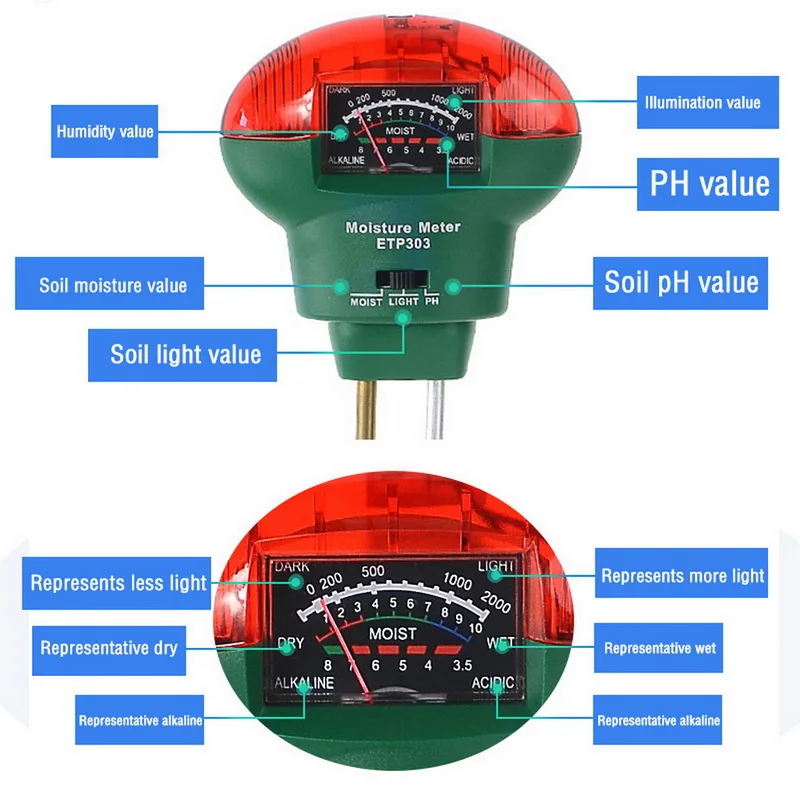 Растительные цветы садовые растения почвенный кислотный влажный солнечный
