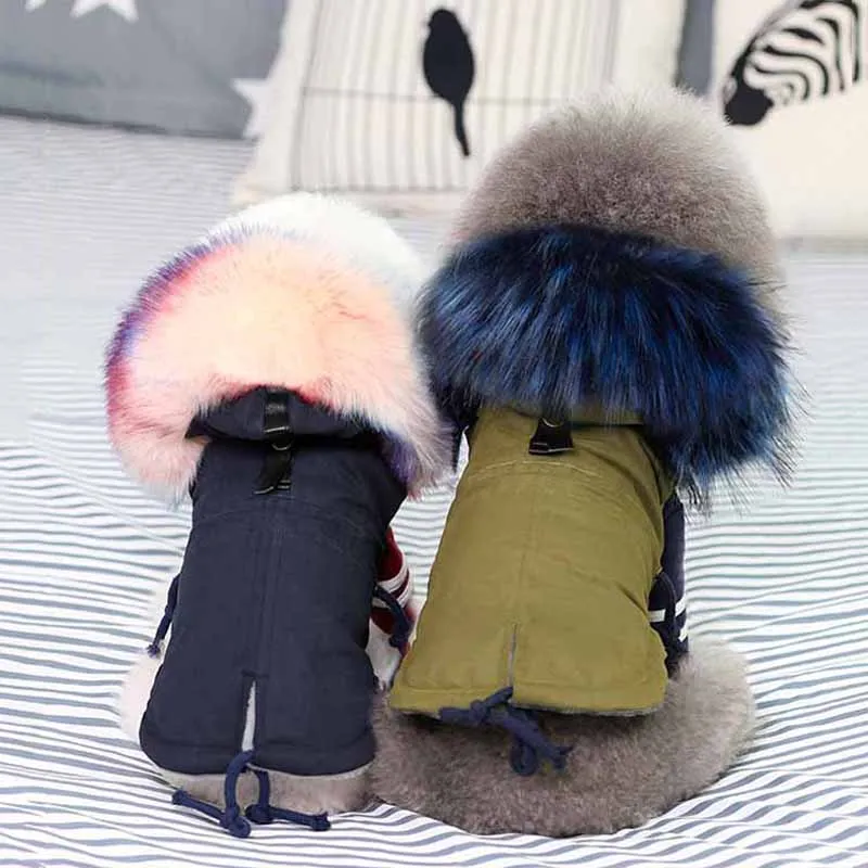 Зимняя одежда для собак Antumn 2019 меховой воротник пальто маленьких и средних