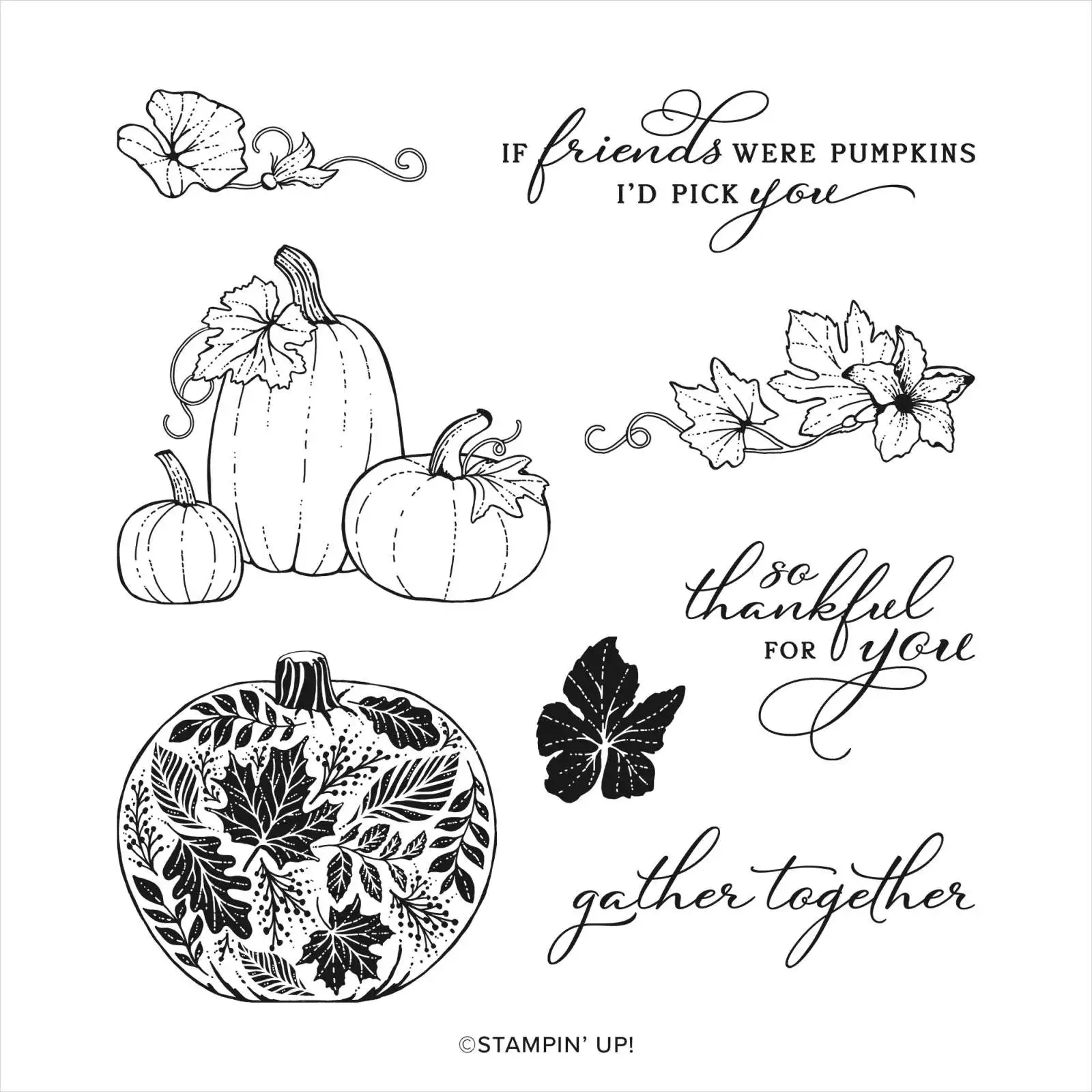 

PUMPKINS Shape Cutting Dies Stamps Scrapbook Diary Secoration Embossing Stencil Template Diy Greeting Card Albums 2021 New