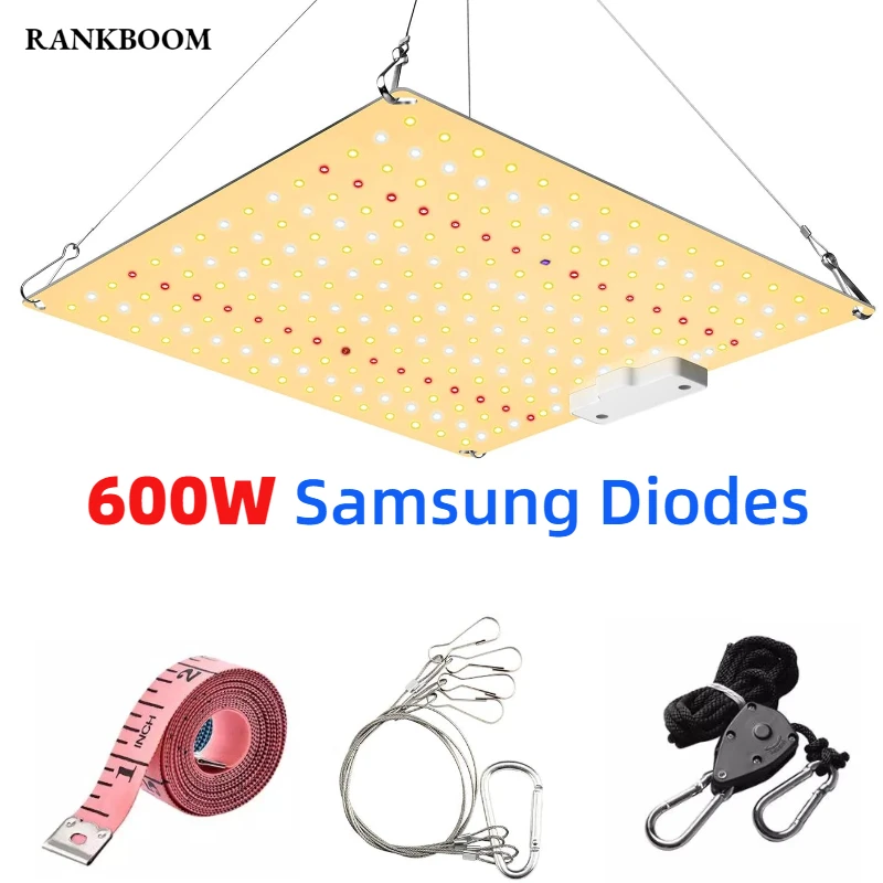Professional Light