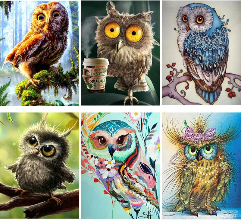 

CraftArtGo 5D DIY Алмазная вышивка Сова полный квадратные Стразы мозаика, вышивка крестиком на рисунке, со стразами в виде цветка; Комплект