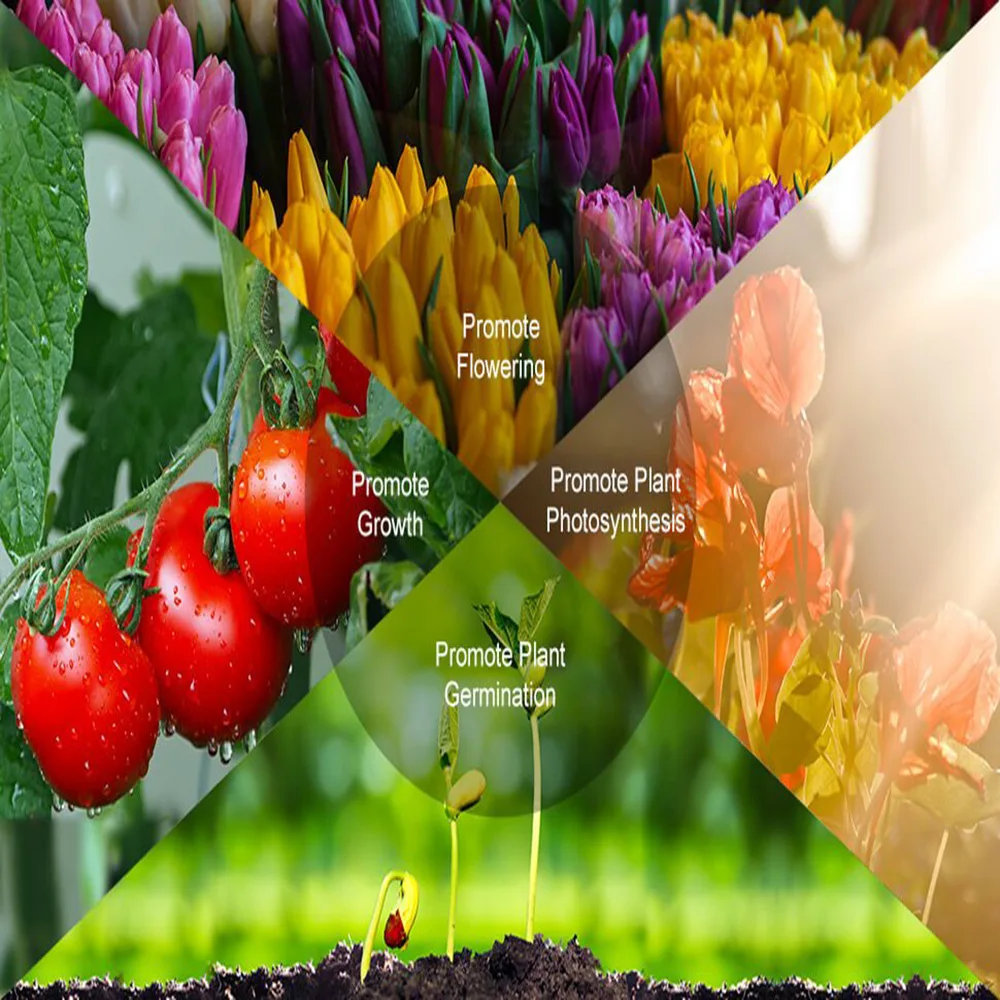 

Whosale Plant Grow Light Full Spectrum LED Strip Flower Phyto Lamp Cultivation Indoor Lamp For Desktop Plant Flower USB UV Light