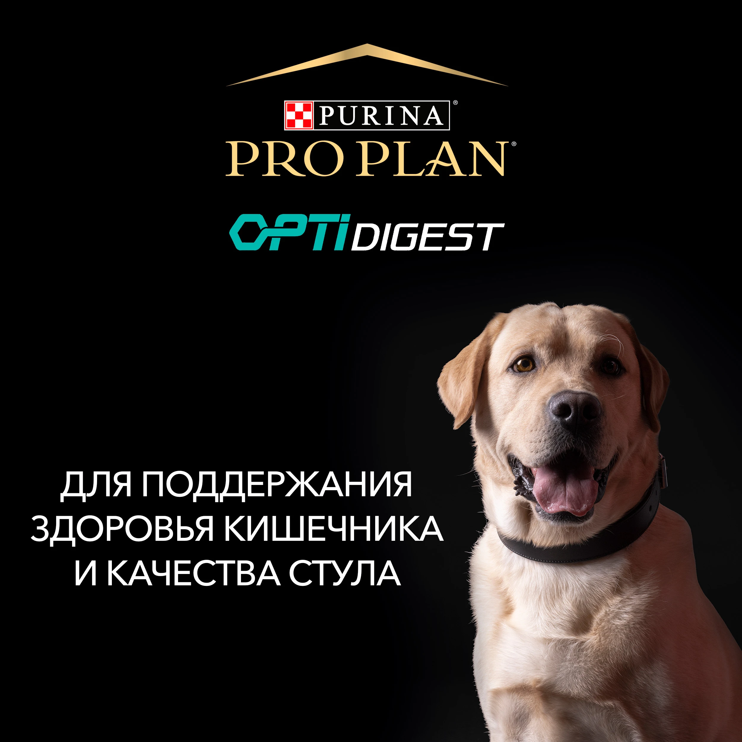 Сухой корм Pro Plan для взрослых собак мелких/карликовых пород чувствительное