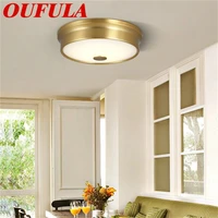 brother ceiling lights modern copper led fashionable decorative for home porch living room dining room bedroom