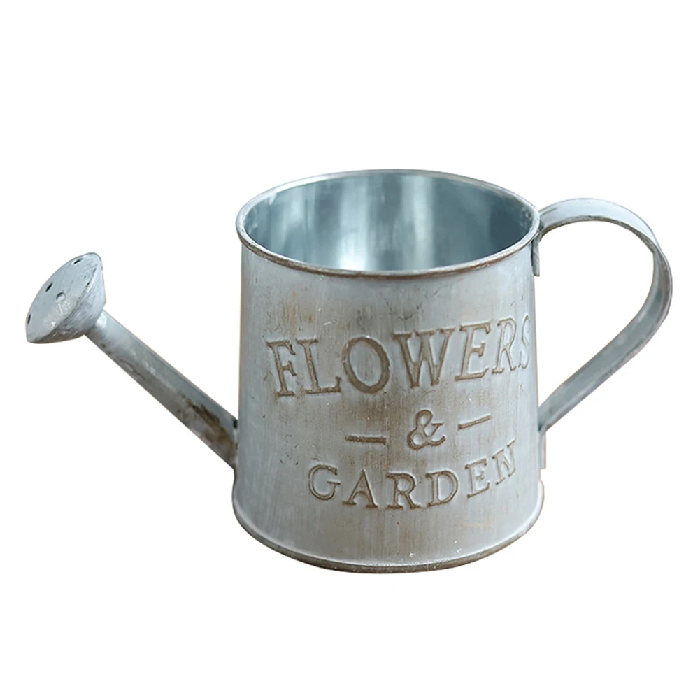 Винтажный цветочный горшок металлический ручной лейки суккулент Плантатор