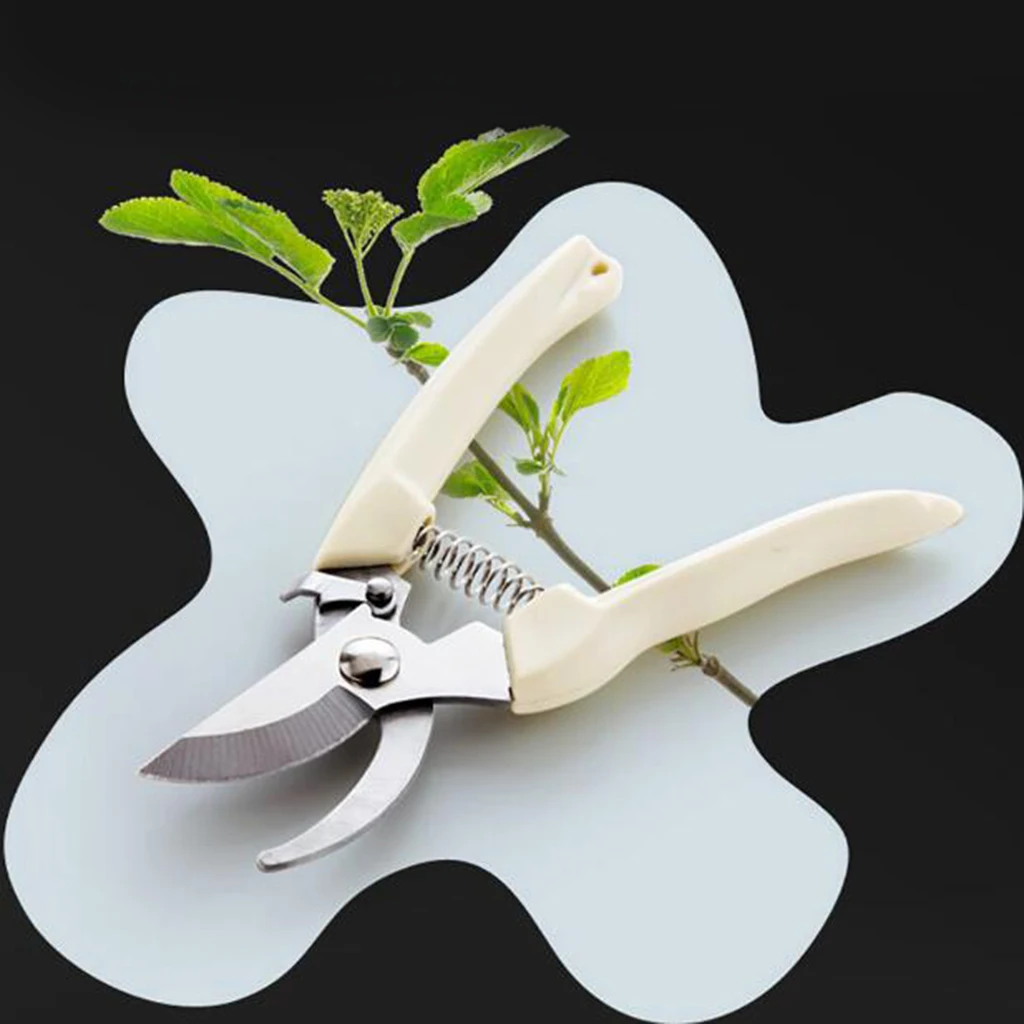 

1x Stainless Pruning Cutting Horticultural Scissors Orchard Branch Cutting Tools