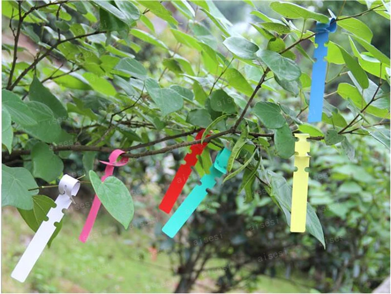 Ярлык для рассады садовые цветы и растения домашнего сада разные цвета|Маркеры