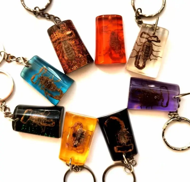

100 pcs real scorpion keychain jewelry vogue key ring