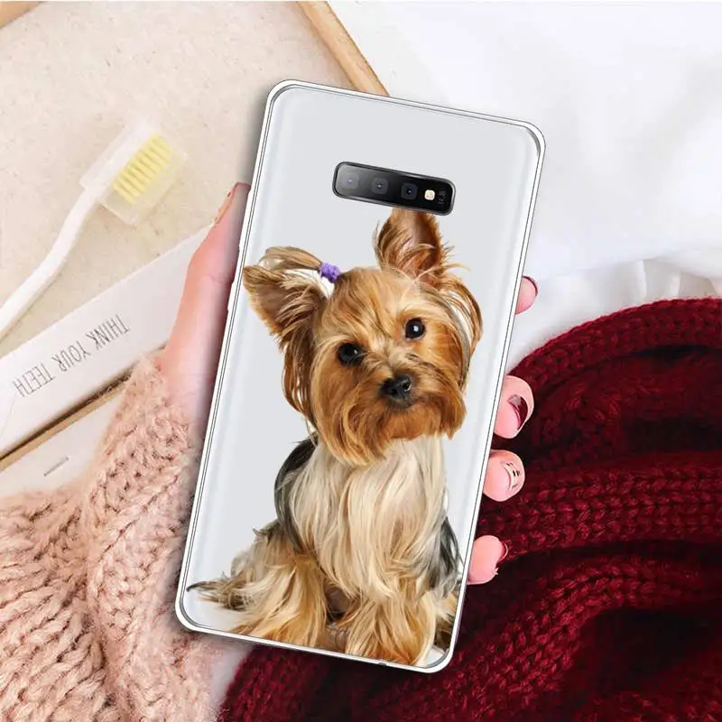 

Yorkshire Terrier dog cute Phone Case Transparent for samsung A 21s 50 71 S 8 9 20 20fe note 10 20 ultra plus
