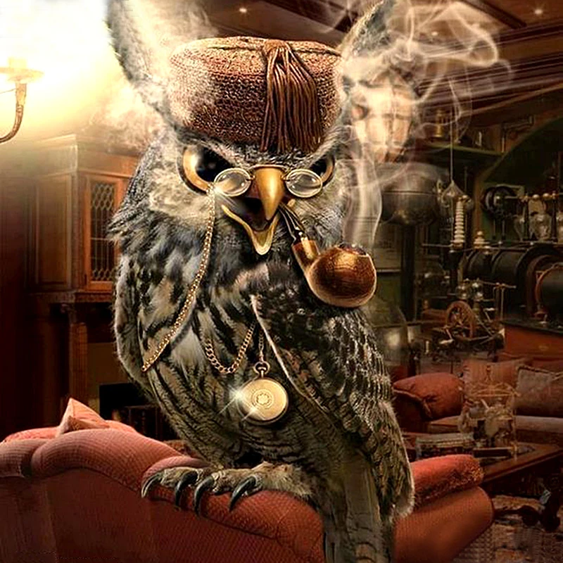 Полностью квадратная круглая дрель 5D DIY Алмазная картина крутая Сова 3D вышивка