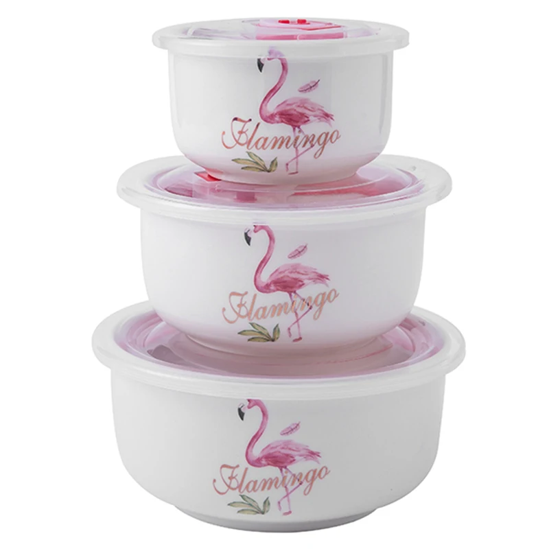 Набор для домашнего использования керамическая миска лапши быстрого