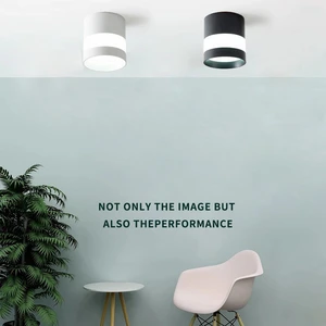 Creative Surface Mounted Downlight Acrylic Side Glow Design High Brightness Foyer Bedromm AC90-260V Ceiling Lamp Fixture