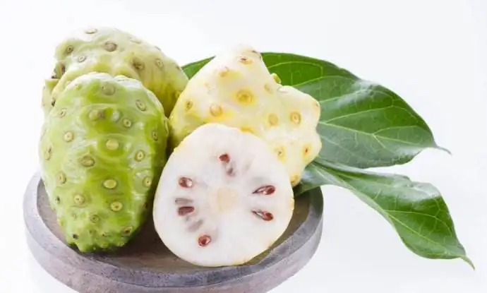 

Noni Extract (10:1) (Morinda Citrifolia) For Wieght Loss Energy Boost 120pcs