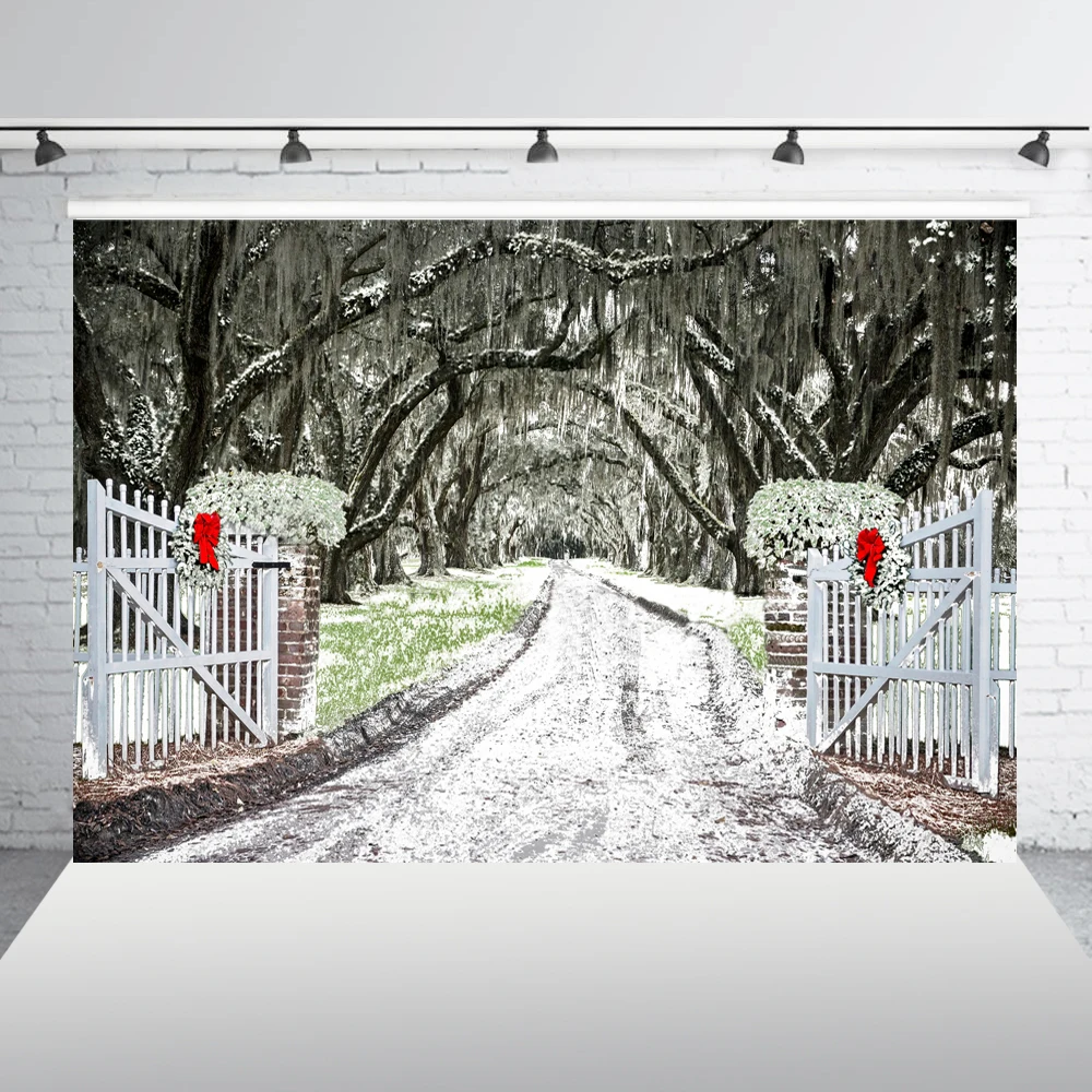 Рождество Зима белый снег фон деревенский открытый замороженный мир фото для