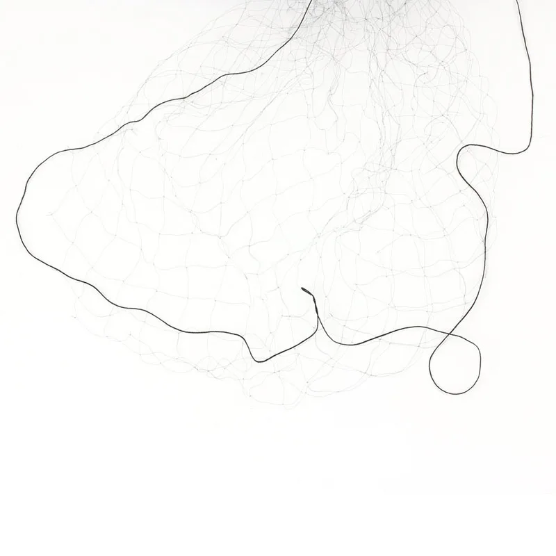 3x10 м черная птица предотвращающие анти-птица рыболвная сеть сетки для фруктов