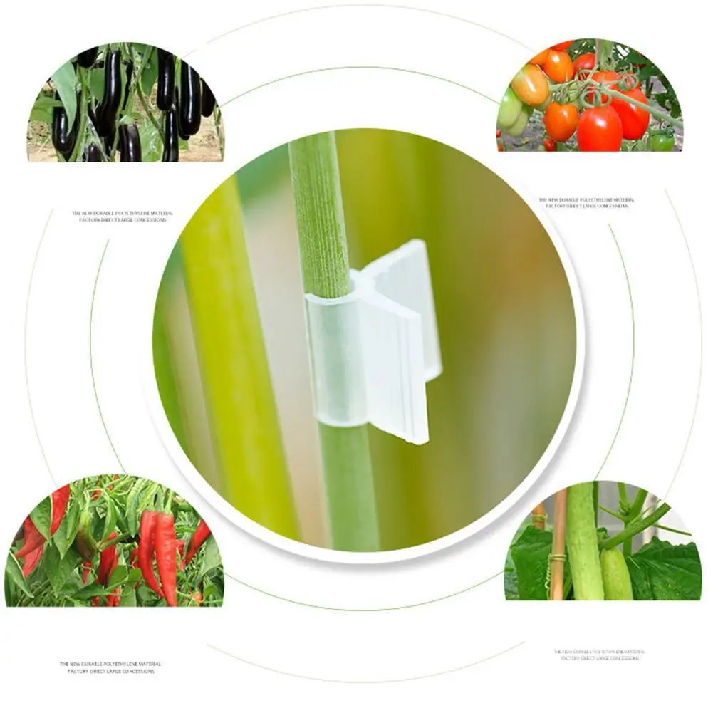 100 шт. пластиковые зажимы для растений | Дом и сад