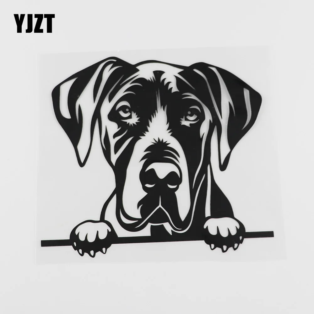 

YJZT 17,5 см x 15,5 см, креативная большая наклейка немецкий дог, подглядывающая собака, виниловая наклейка на автомобиль, черный/серебристый 8A-0045