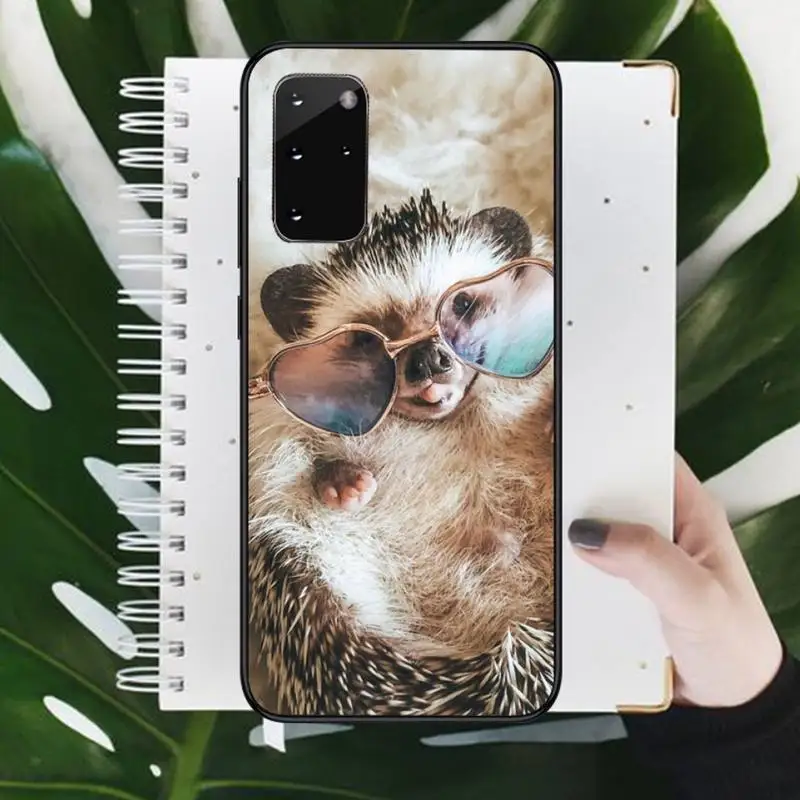 

Hedgehog Cute animal Phone Cases For Samsung galaxy S 9 10 20 A 10 21 30 31 40 50 51 71 s note 20 j 4 2018 plus