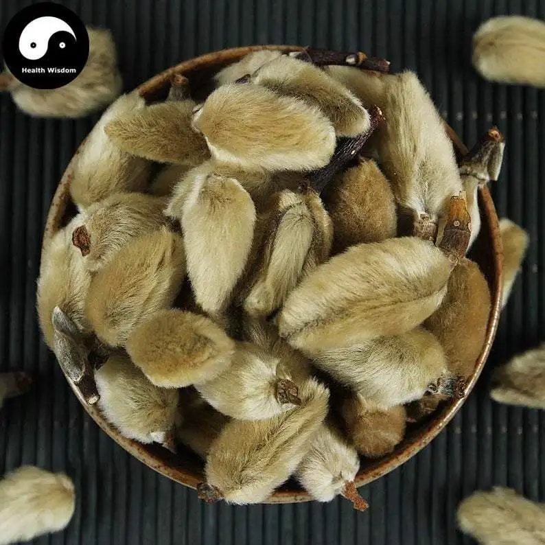 

Xin Yi Hua, Flos Magnolia Denudata, цветок магнолии