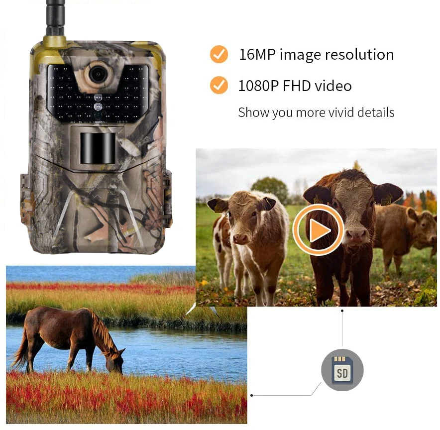Фотоловушка для дикой природы 20 МП 1080P 2G SMS MMS SMTP | Спорт и развлечения