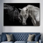Современные Африка пара живопись на холсте с изображением лошади Черный и белый лошадь плакат и печати настенные картины для Декор в гостиную Cuadro