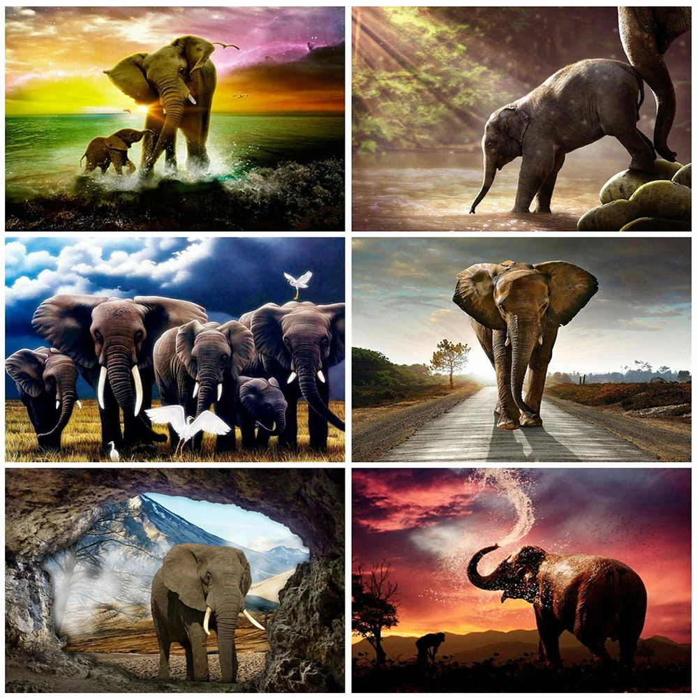 

MomoArt Алмазная вышивка слон вышивка крестом наборы 5D DIY Алмазная мозаика животные картина стразы декор для дома