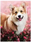 Полная круглая алмазная живопись, корги, собака, мозаика, вышивка, животные стразы, картина, рисунок, Настенный декор, Рукоделие, сделай сам