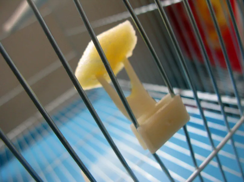 2 шт. птицы попугаи плоды вилкой для домашних животных Пластик Еда держатель