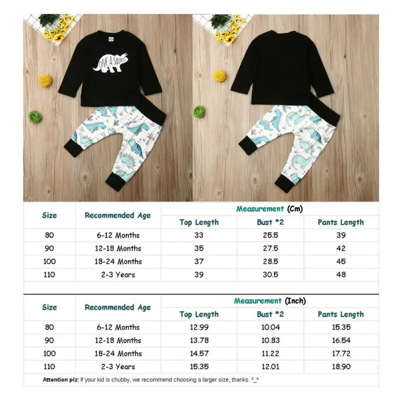 

0-3Y Newborn Infant Baby Boys Clothes Sets Dinosaur Print Long Sleeve Pullover Tops+Pants 2pcs Clothes Sets